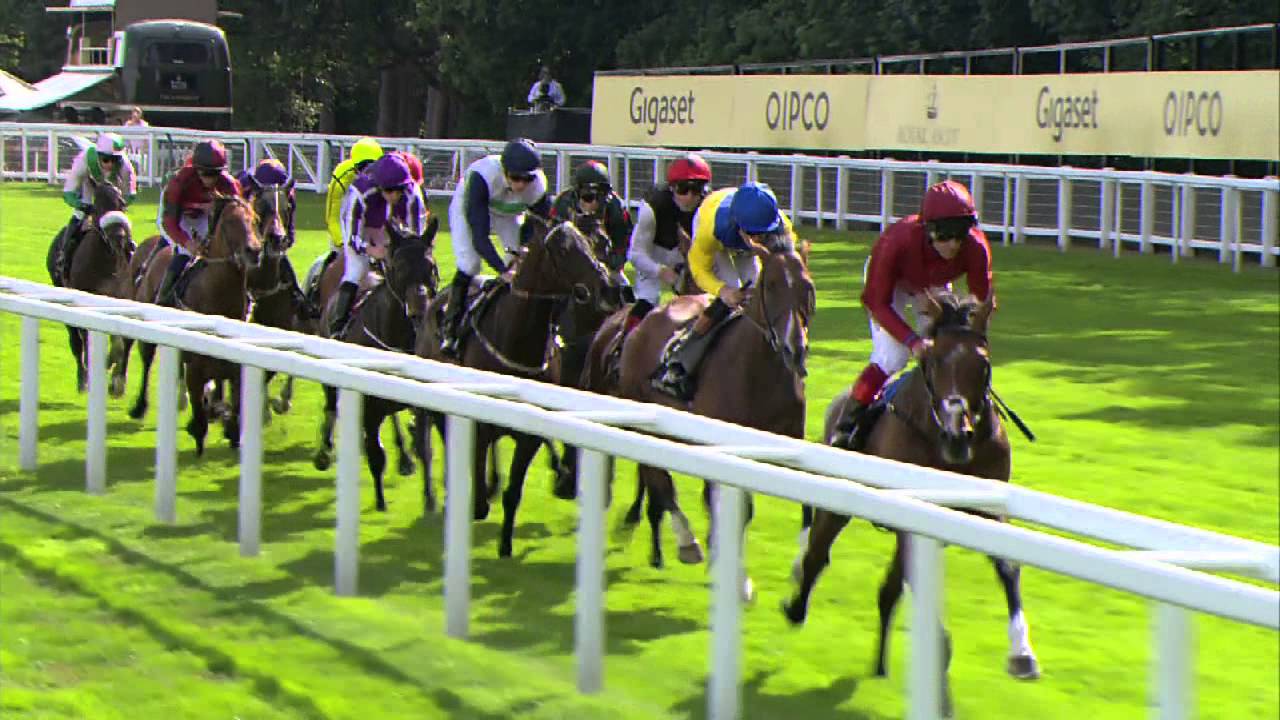 Watch UK/IRE racing horse live streaming online races powered by bet365 UK Racing Live Streaming horse racing online video
