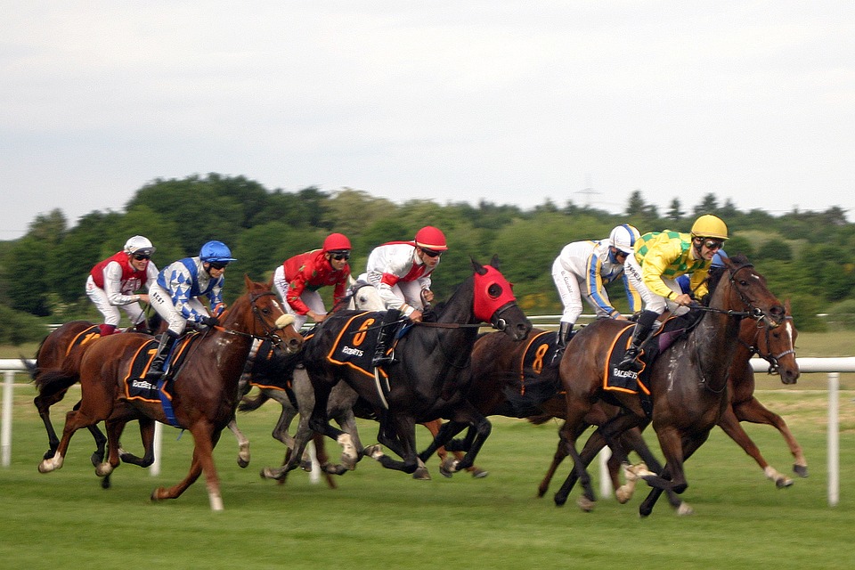 Thumbnail image for Ascot Racing Live Stream