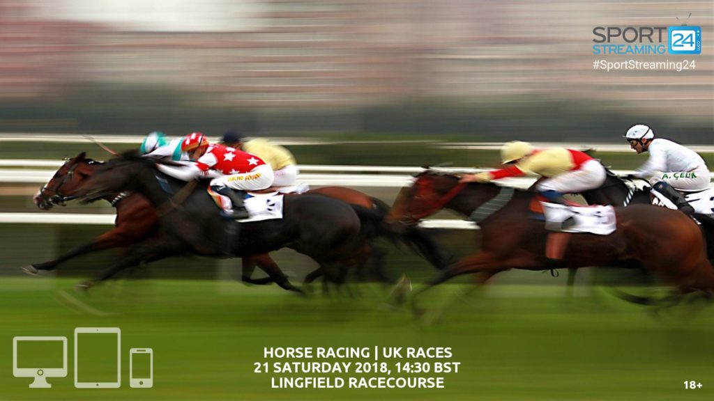 Thumbnail image for Lingfield Racing Live Stream