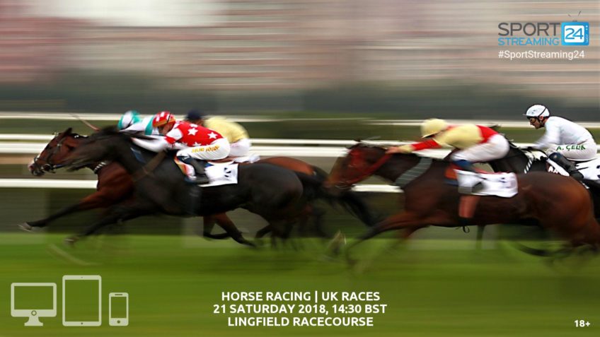 watch lingfield racing live stream bet365
