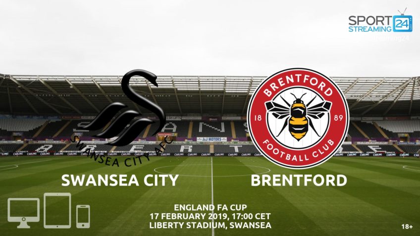 swansea brentford live streaming video bet365